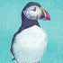 Puffin – A2 Framed Giclée Art Print