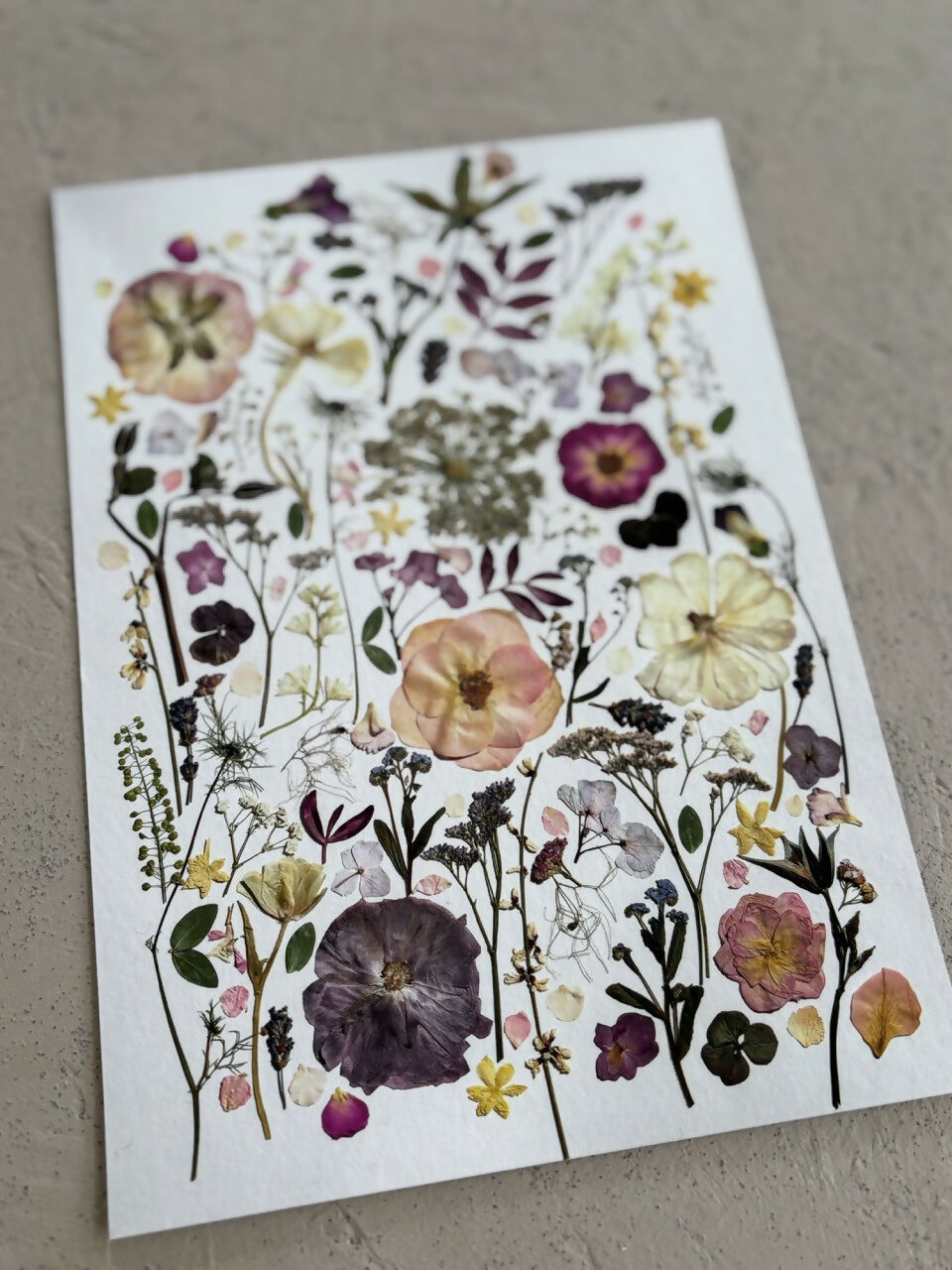 Pink & Purple Giclee Print A5