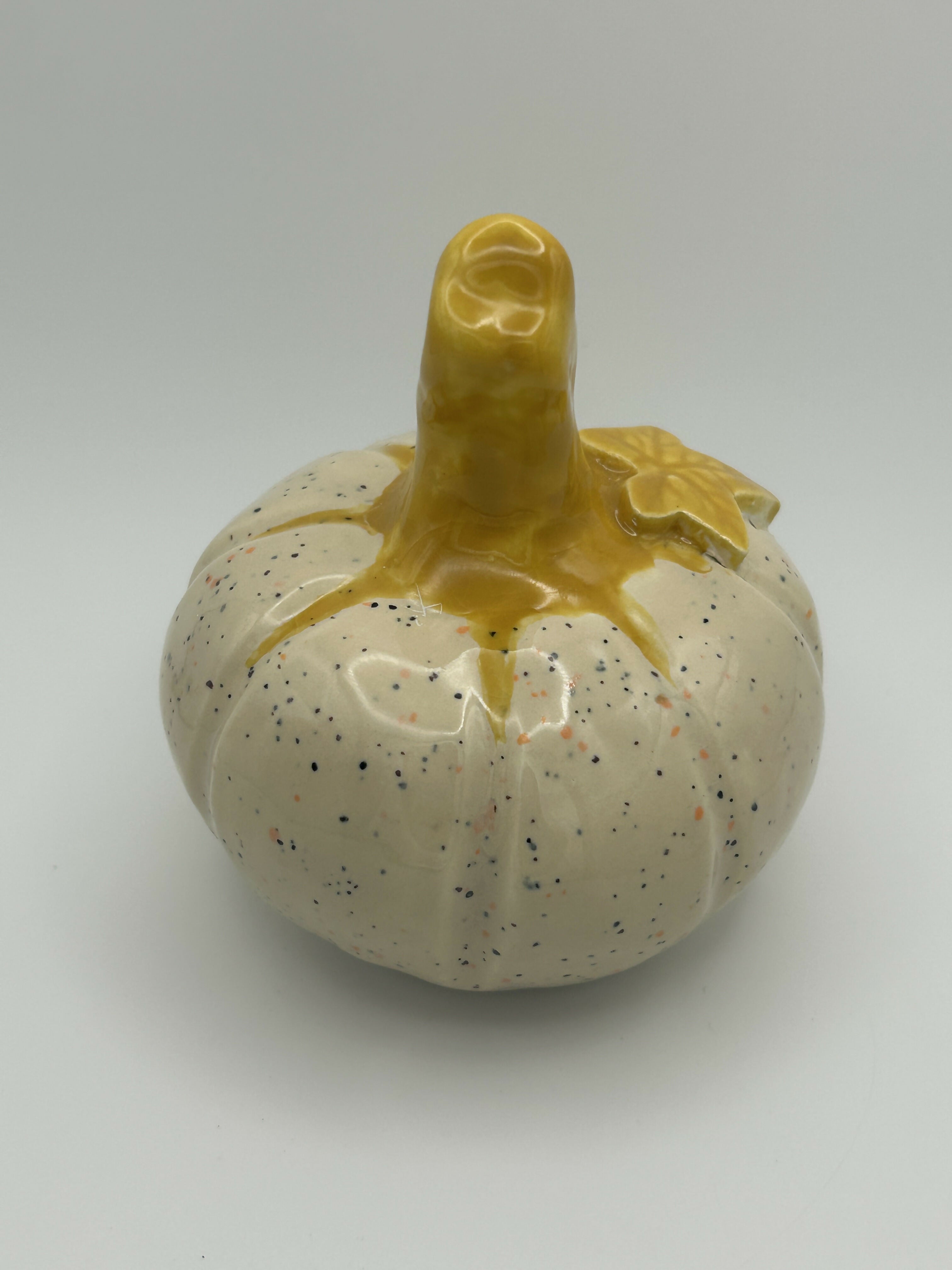 Small Speckled Pumpkin