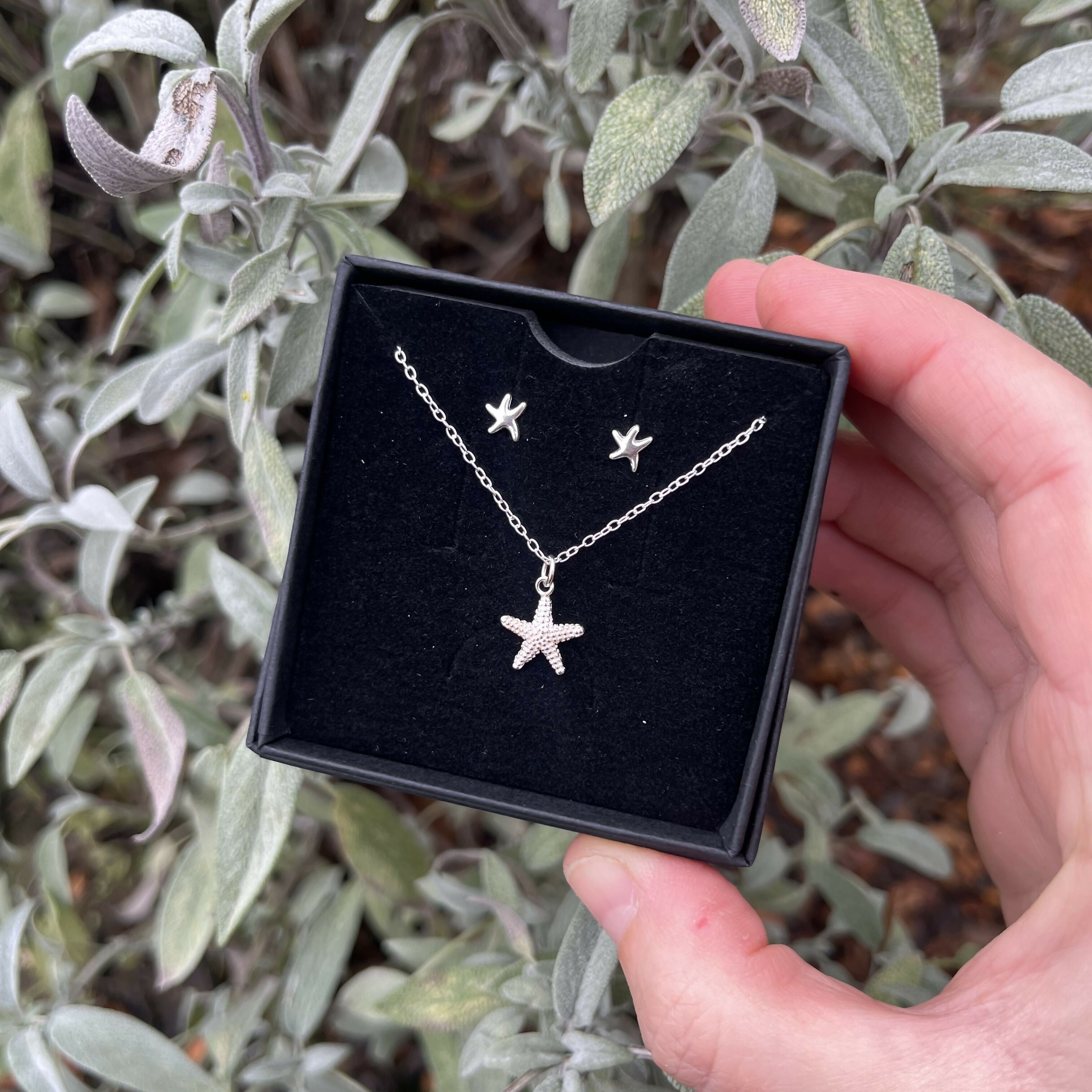 Starfish Set