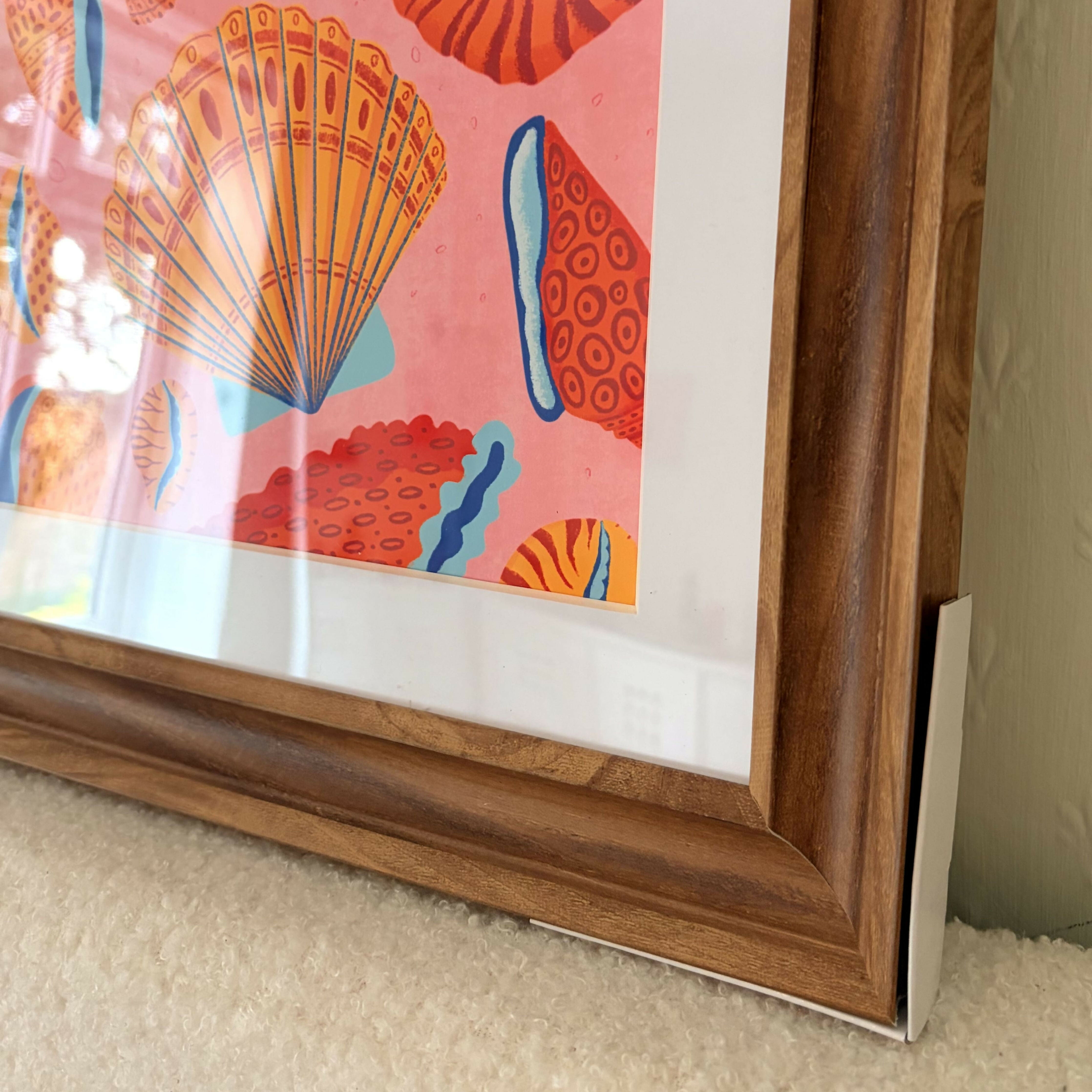 Framed Shell Art