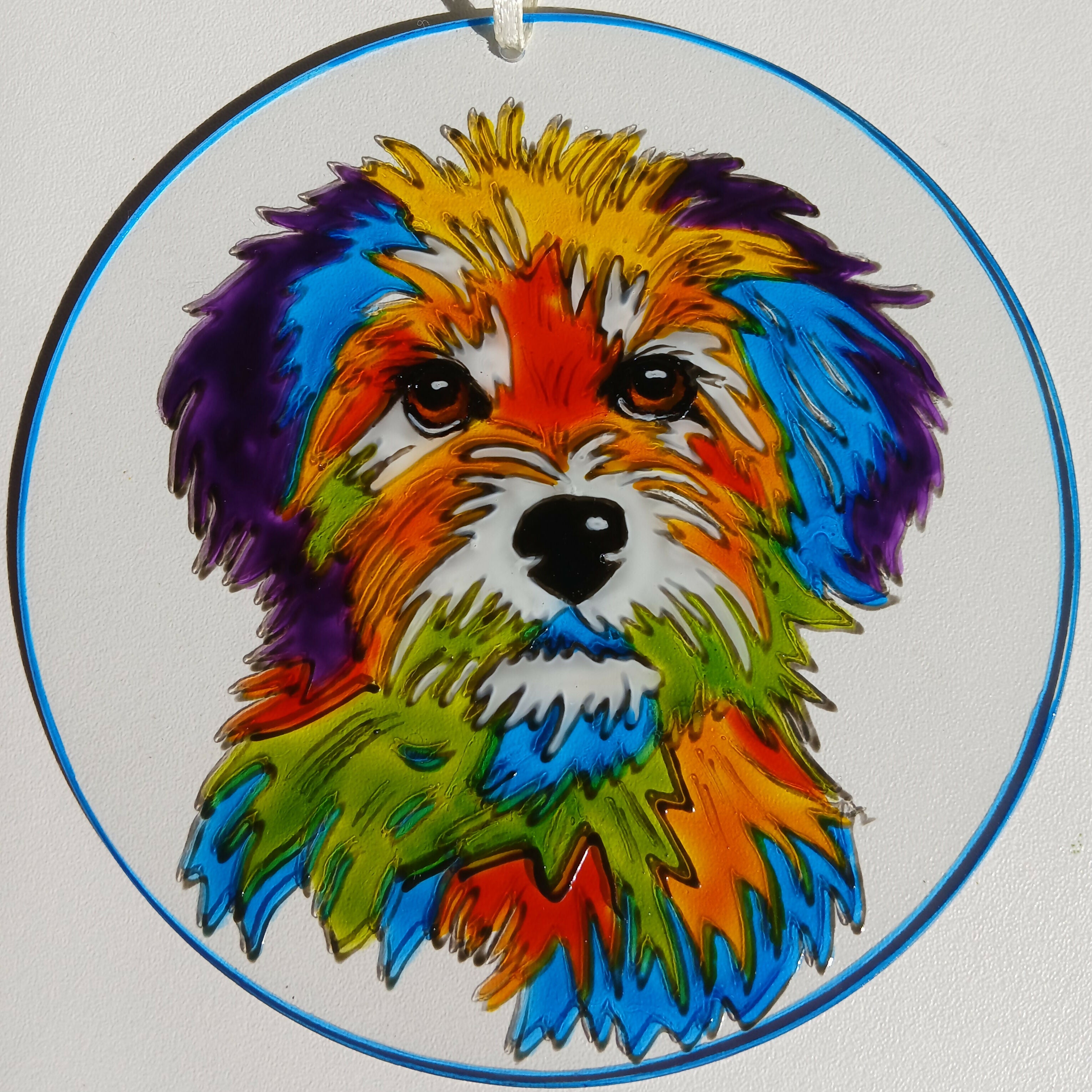 Rainbow Pet Suncatchers
