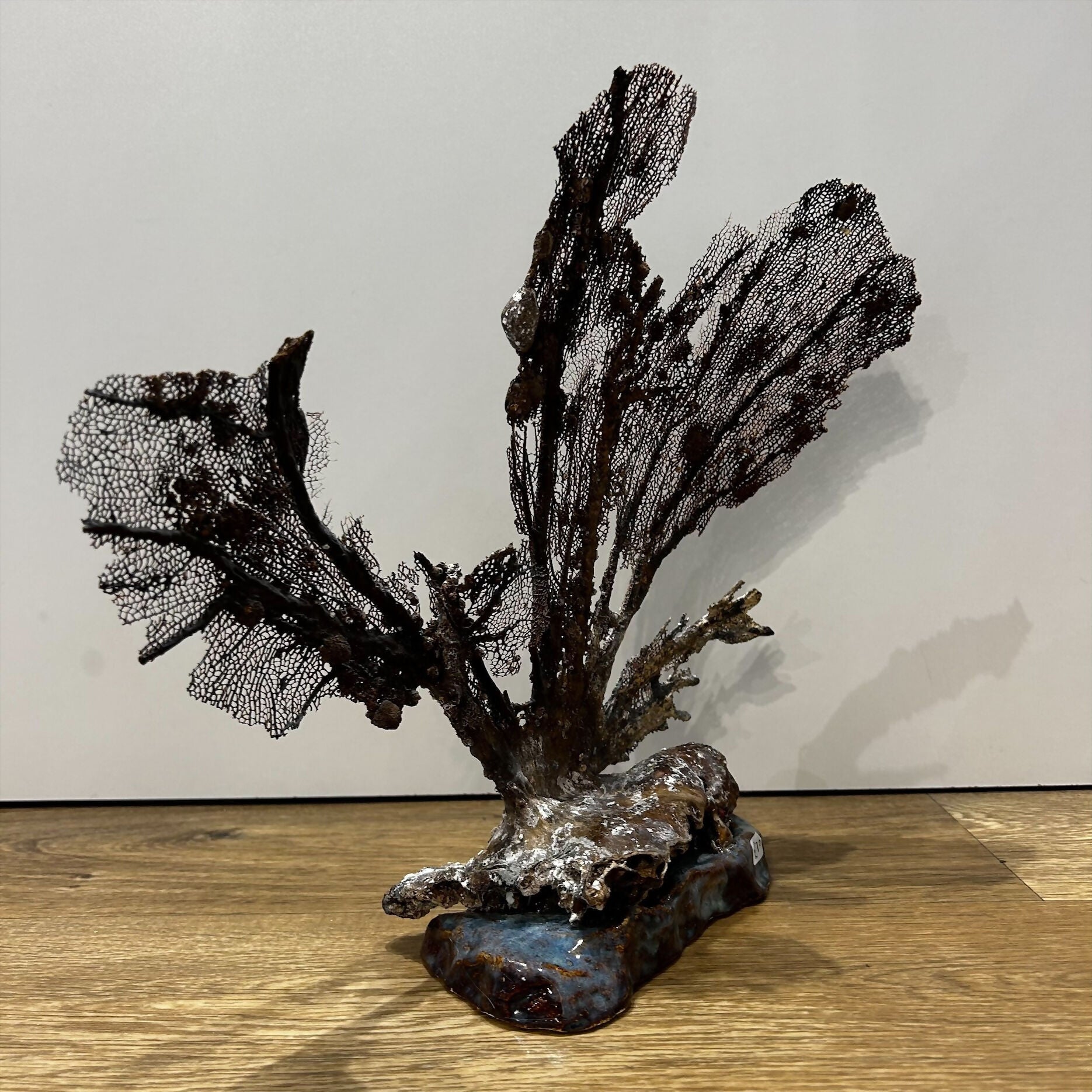Seafan Coral on Ceramic Rock