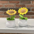 Crochet Sunflower In Pot
