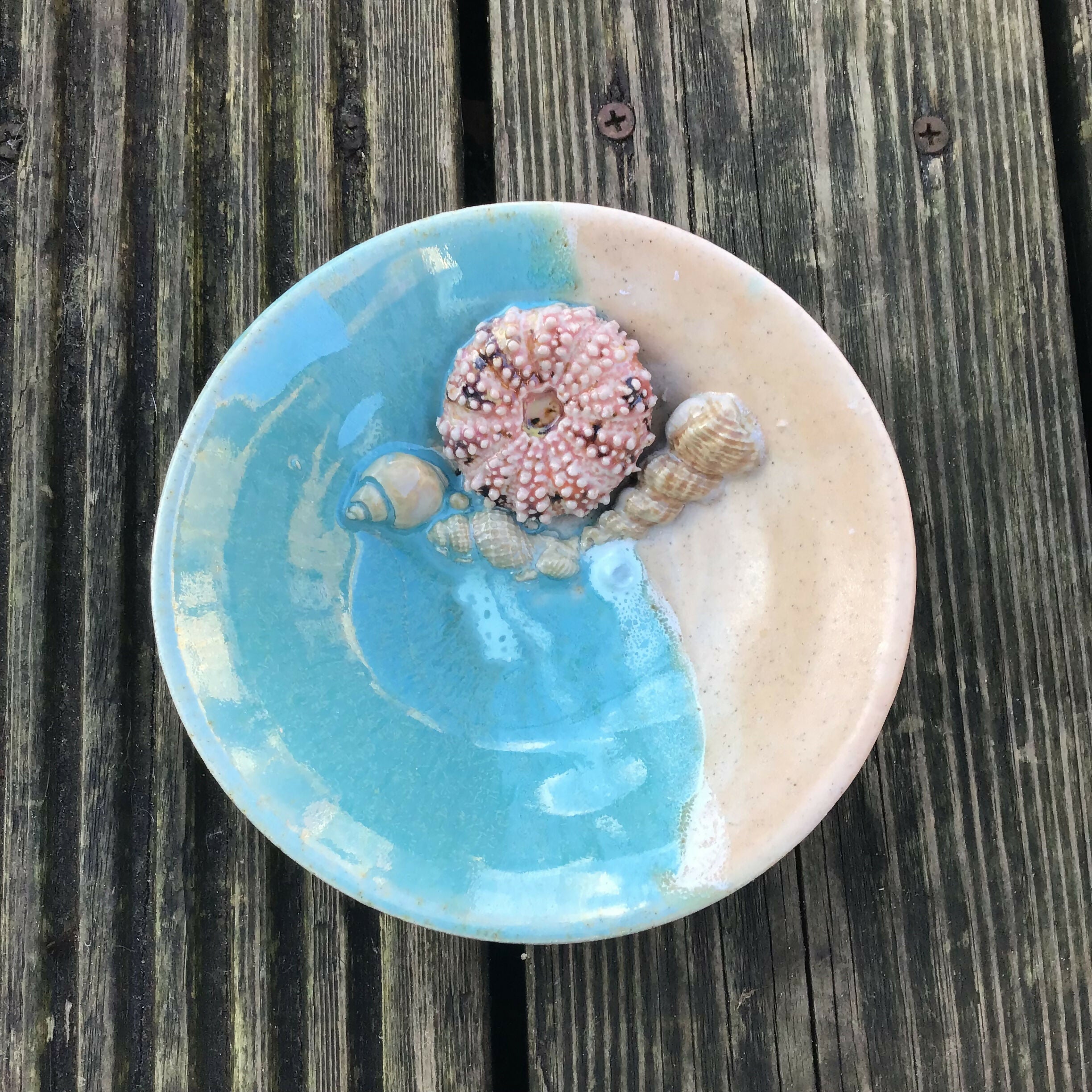 Beach Sea Urchin Bowl