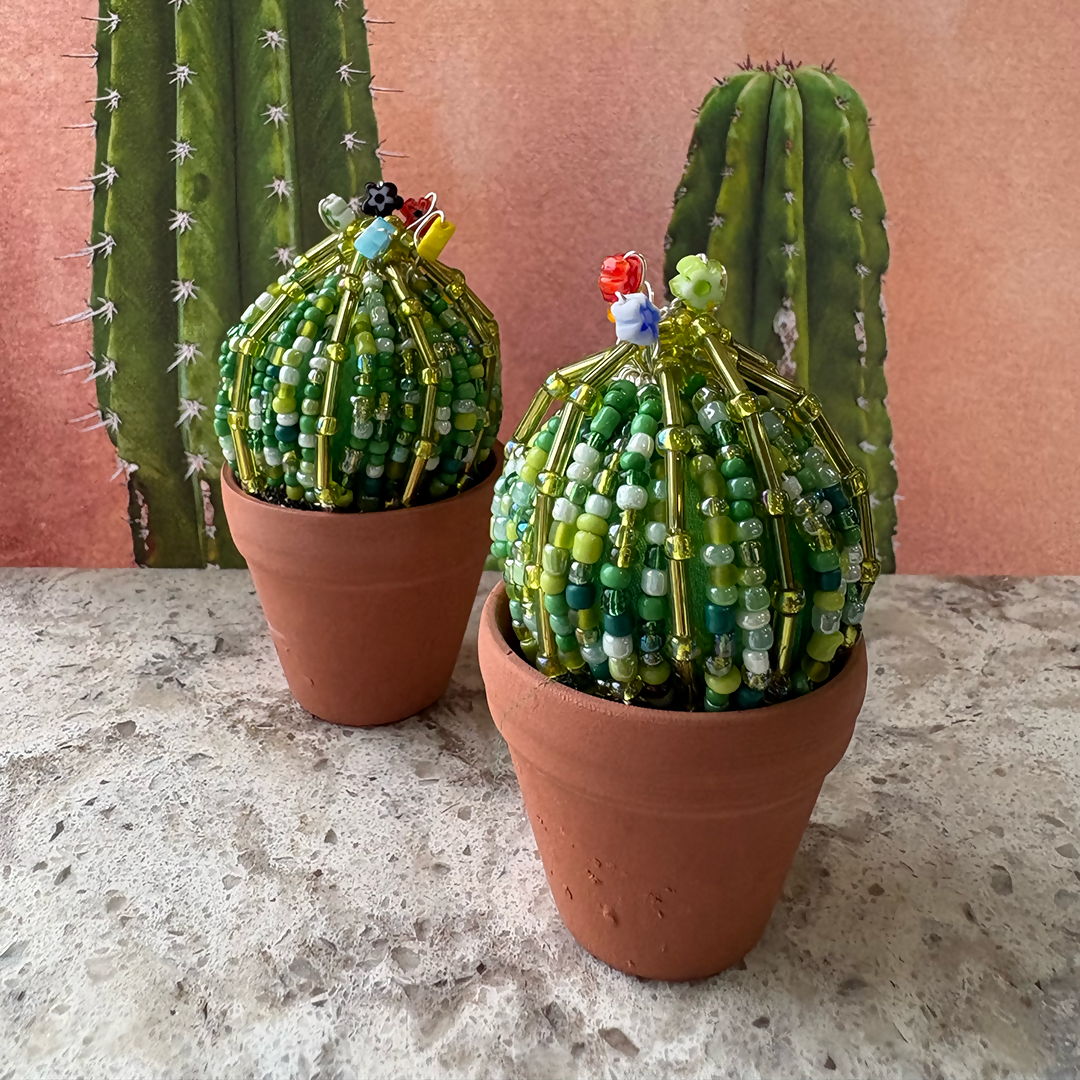 DIY Beaded Ball Cactus Kit with Terracotta Pot