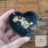 VALENTINES RANGE!_20241105_141334_0000