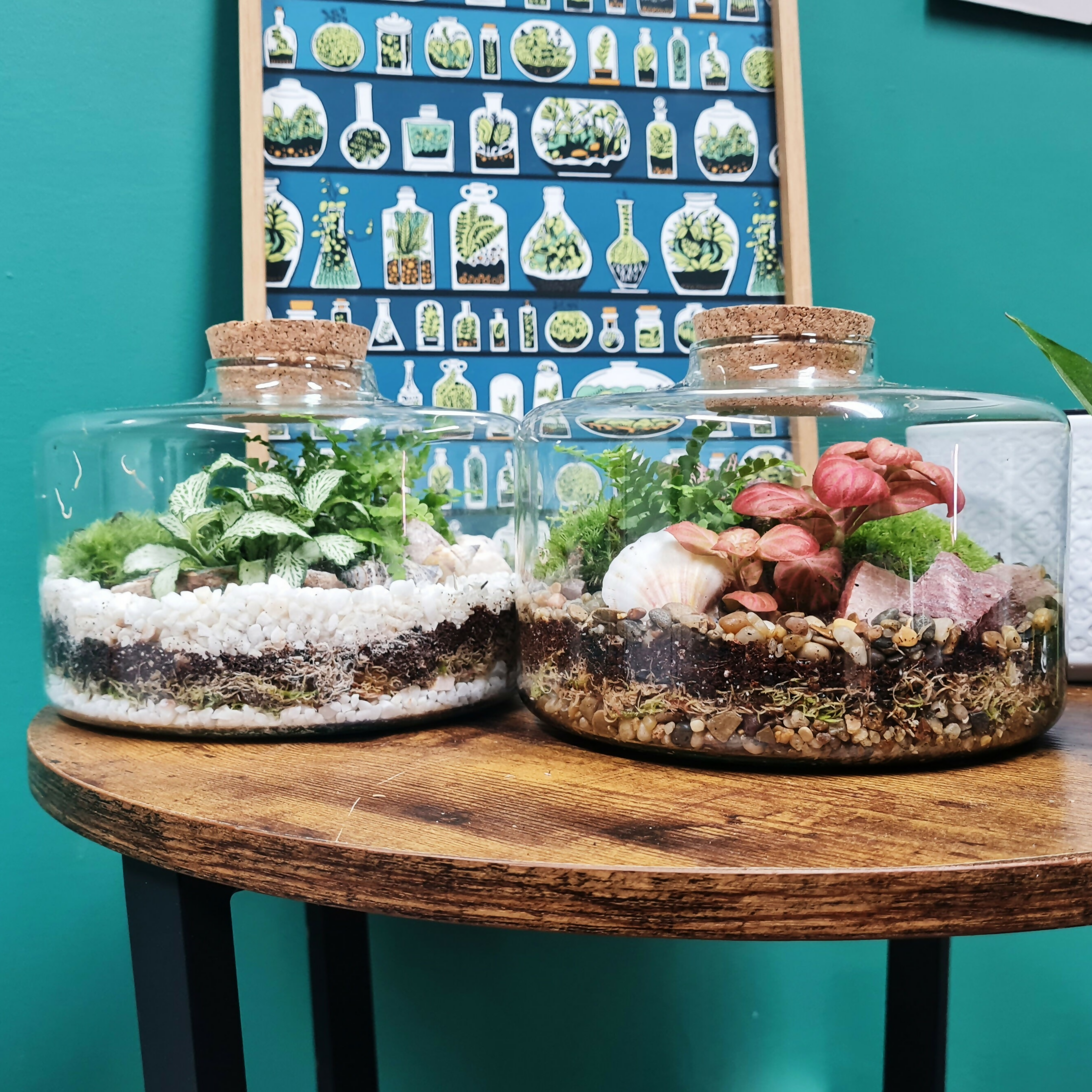 Short & Stout Terrarium