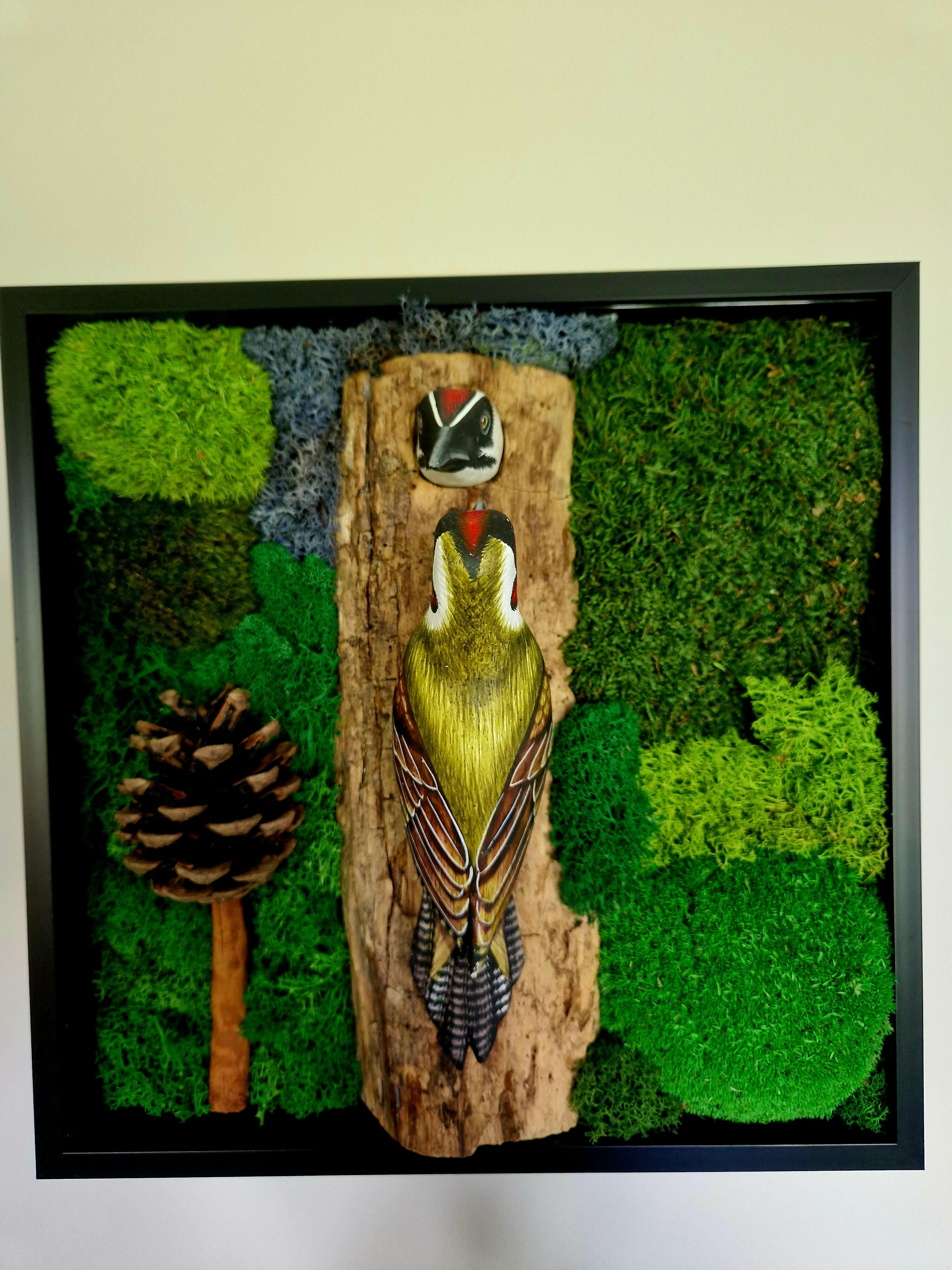 Woodland Woodpeckers