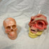 Handmade Sculptural Wax Candle Set — Pair of Skull Candles