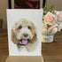 Greeting Card of a Cockapoo 2. Blank Inside