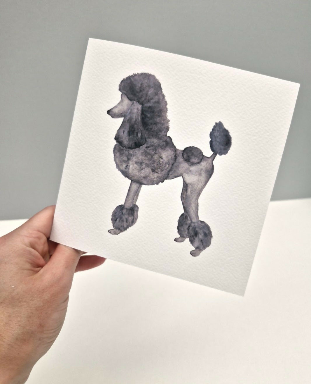 Poodle Greeting Card