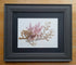 Real Pressed Seaweed Framed Art