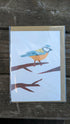 Blue Tit Greetings Card