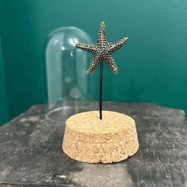 Lovely Glass Dome Featuring A Brass Starfish