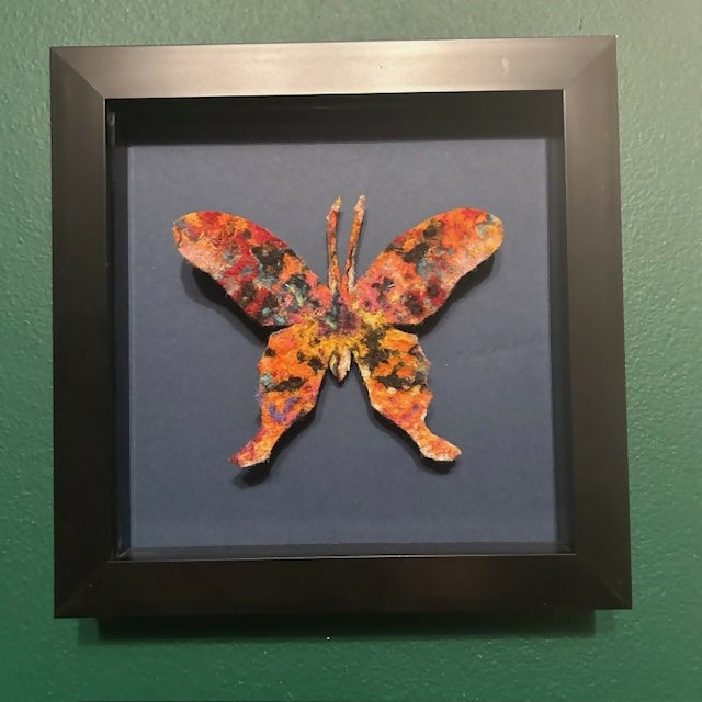 Lovely Multi Coloured Felt Butterfly Mounted In A Black Box Frame