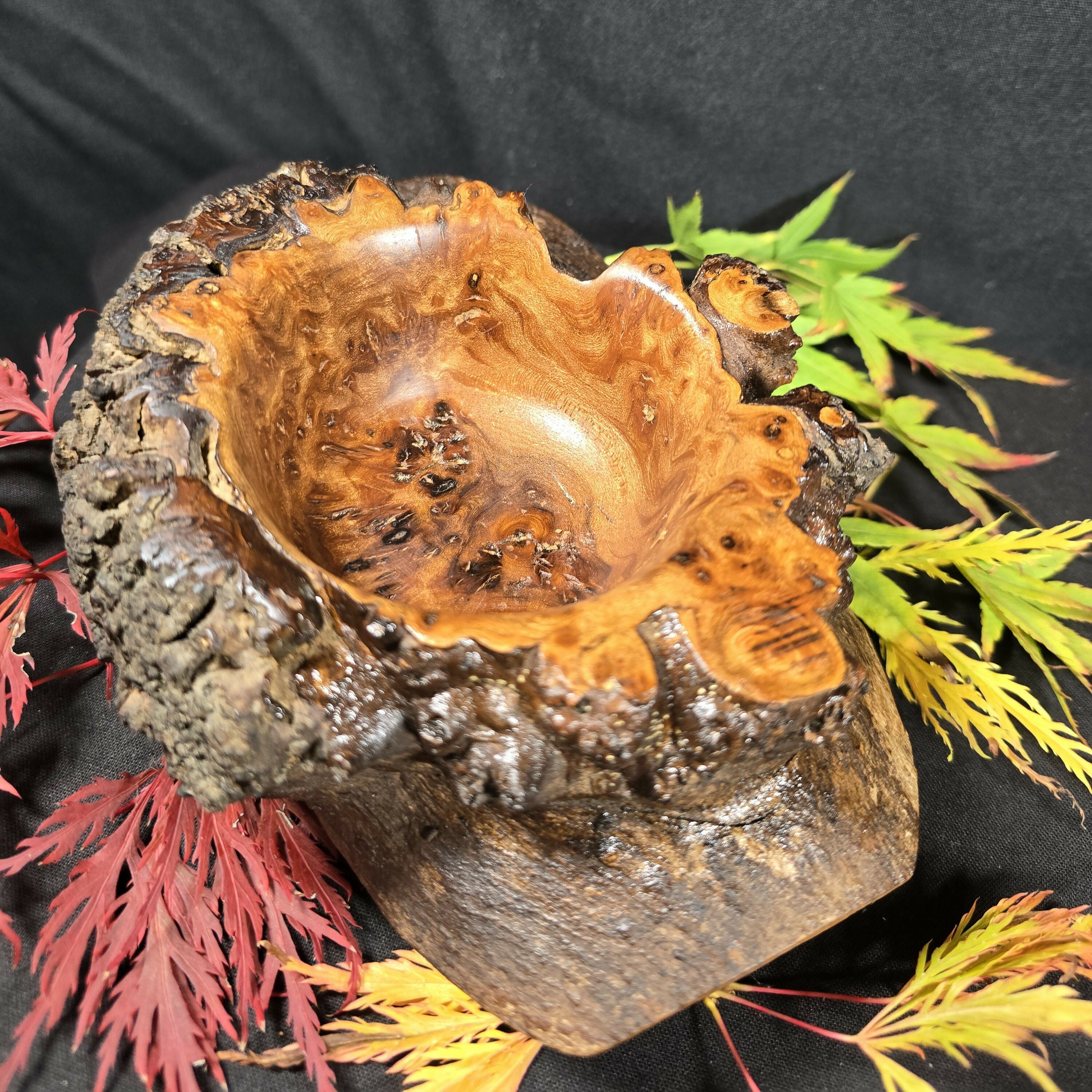 Rustic Elm Burr Log Bowl