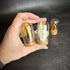 Butterfly Wing Mini Curio Dome