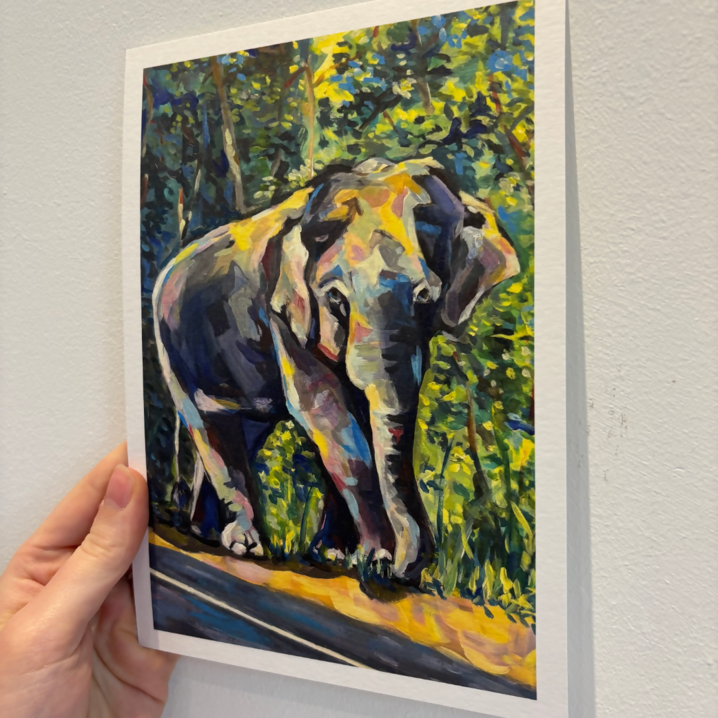 A5 Elephant Print