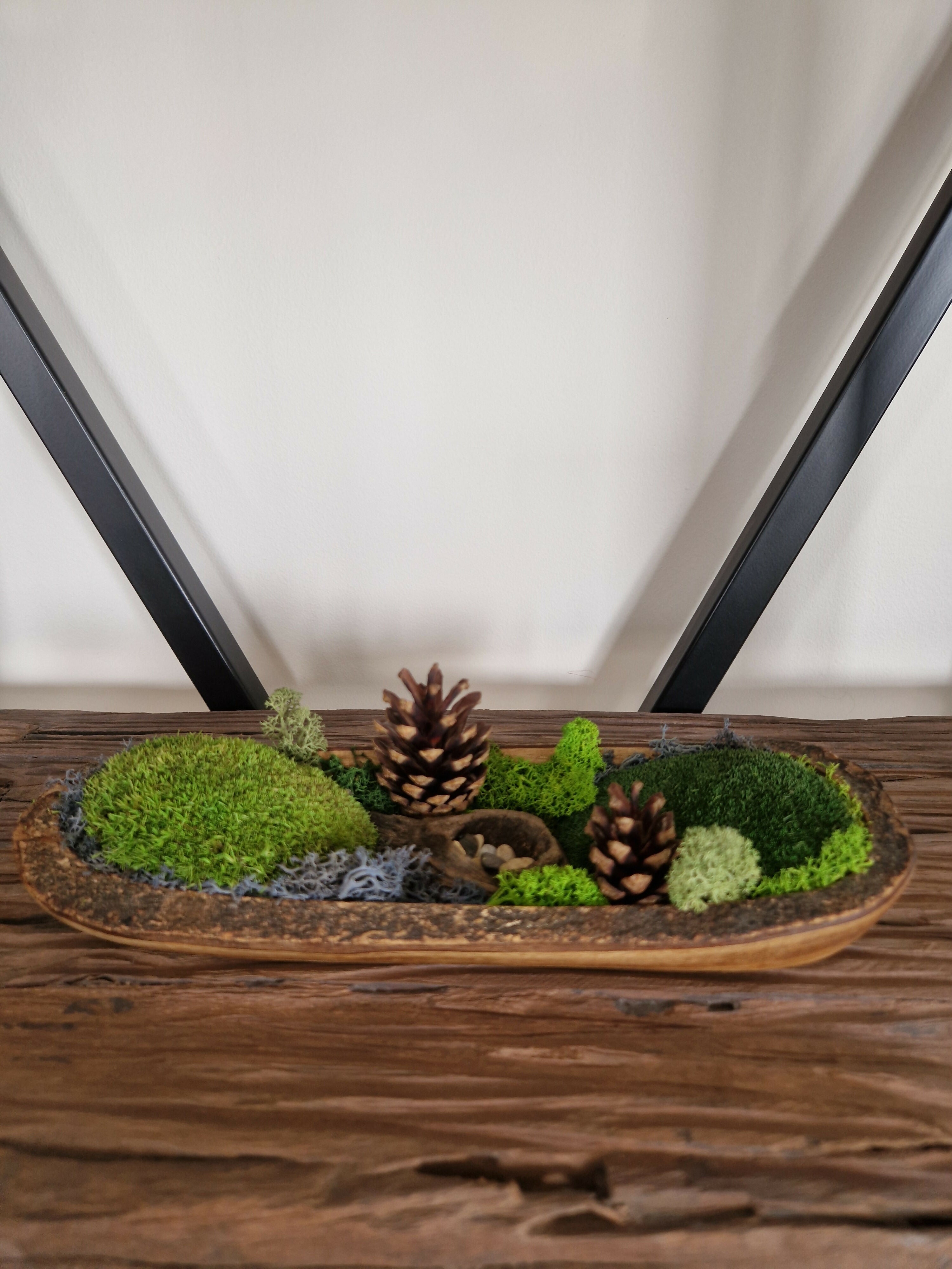 Pine Cone Forest Teak Bowl