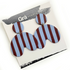 XL Mavis / Burgundy and Blue Stripe Statement Earrings