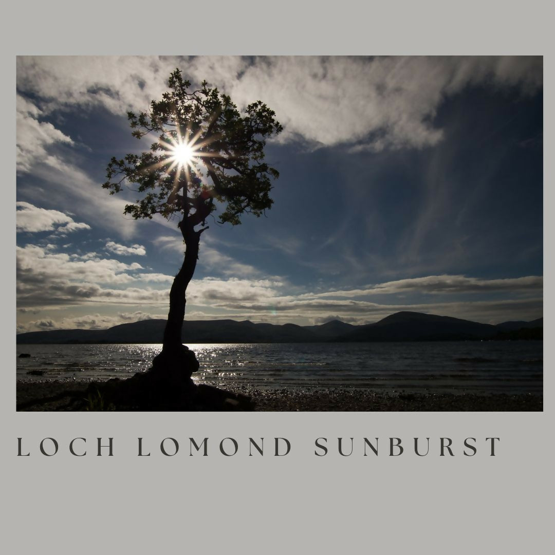 Loch Lomond oak sunburst (small frame)
