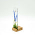 Bluebells Small Plinth