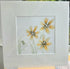 'Acidanthera & Snowdrop' Original Mixed Media Painting