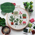 Preprinted Embroidery Pattern For Beginners - Potted Plants