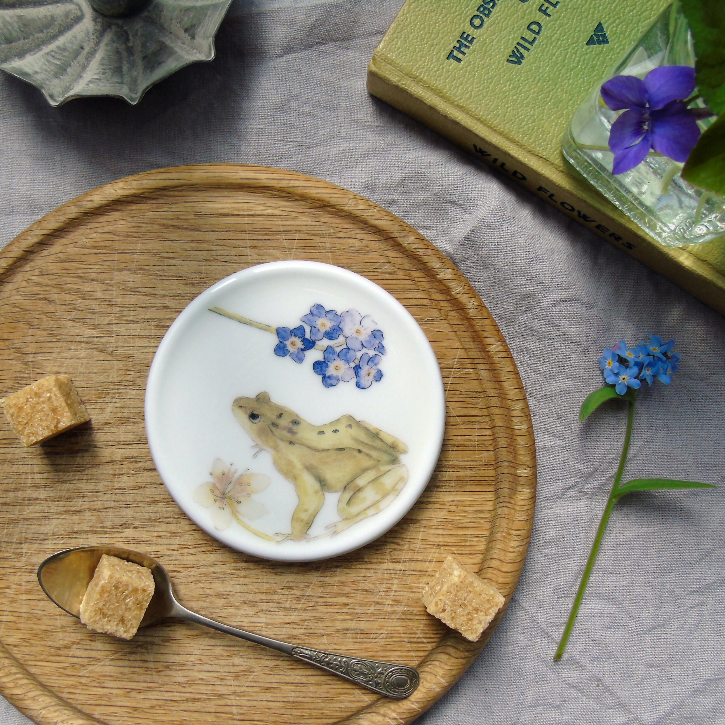 spring frog coaster