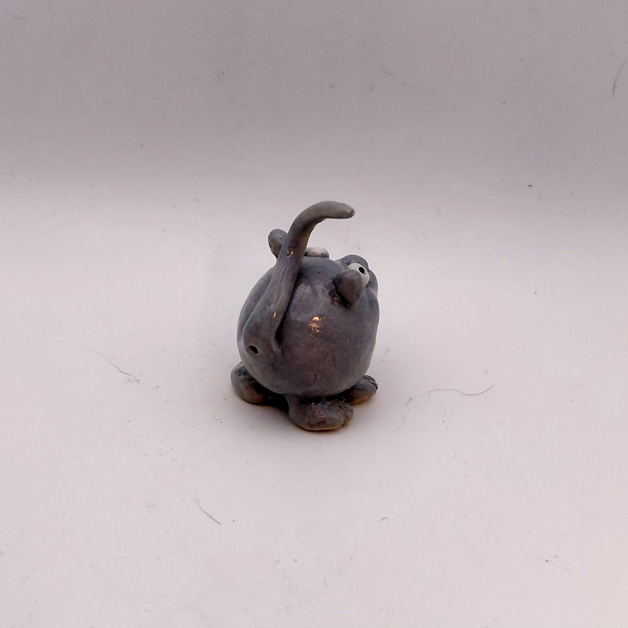 Moonbutton cat