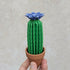 Origami Paper Cactus in Terracotta Pot