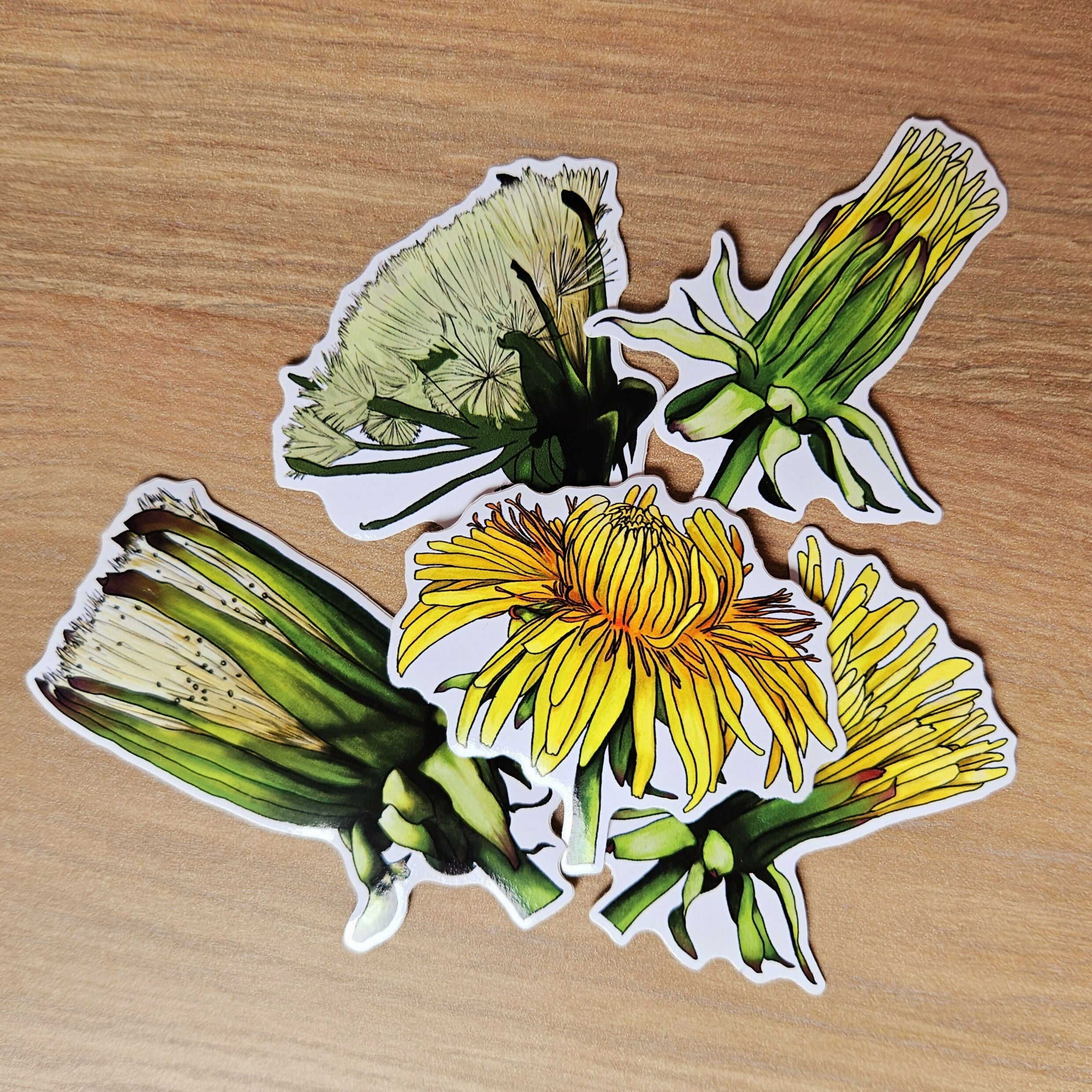 Watercolour Dandelion Flower Vinyl Stickers
