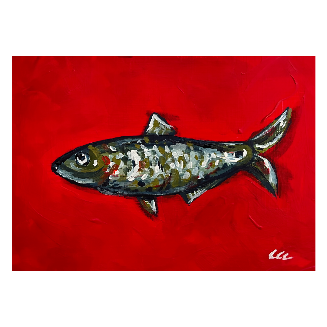Red Fish Art Print | Coastal Inspired Fish Illustration