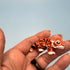 3D Printed Micro Miniatures: Articulated Sensory Fidget Animals friends, Tigers, Turtles, Cats, Dog, Spider, Rat, Green/Blue Shark 4-5cm