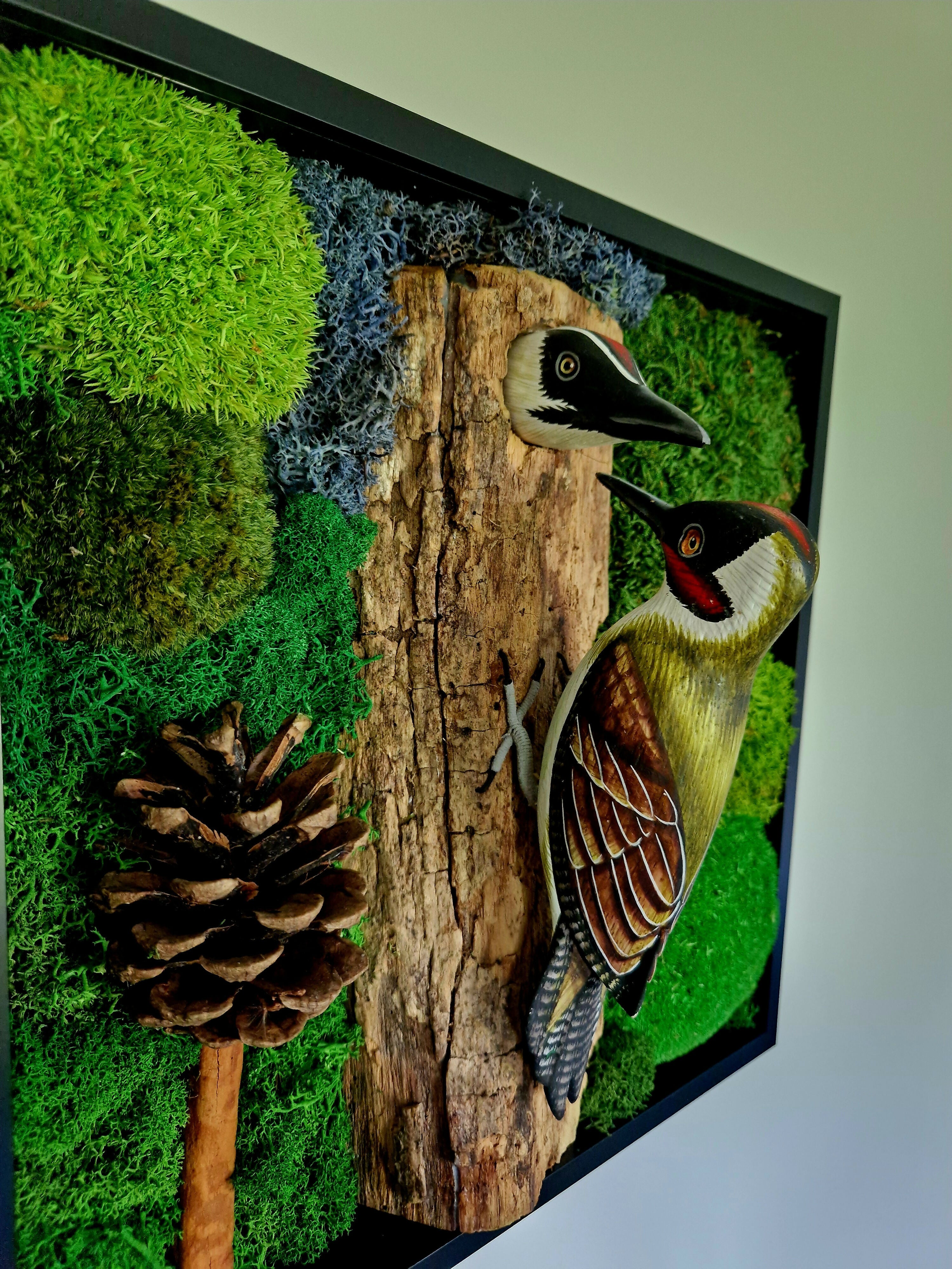 Woodland Woodpeckers