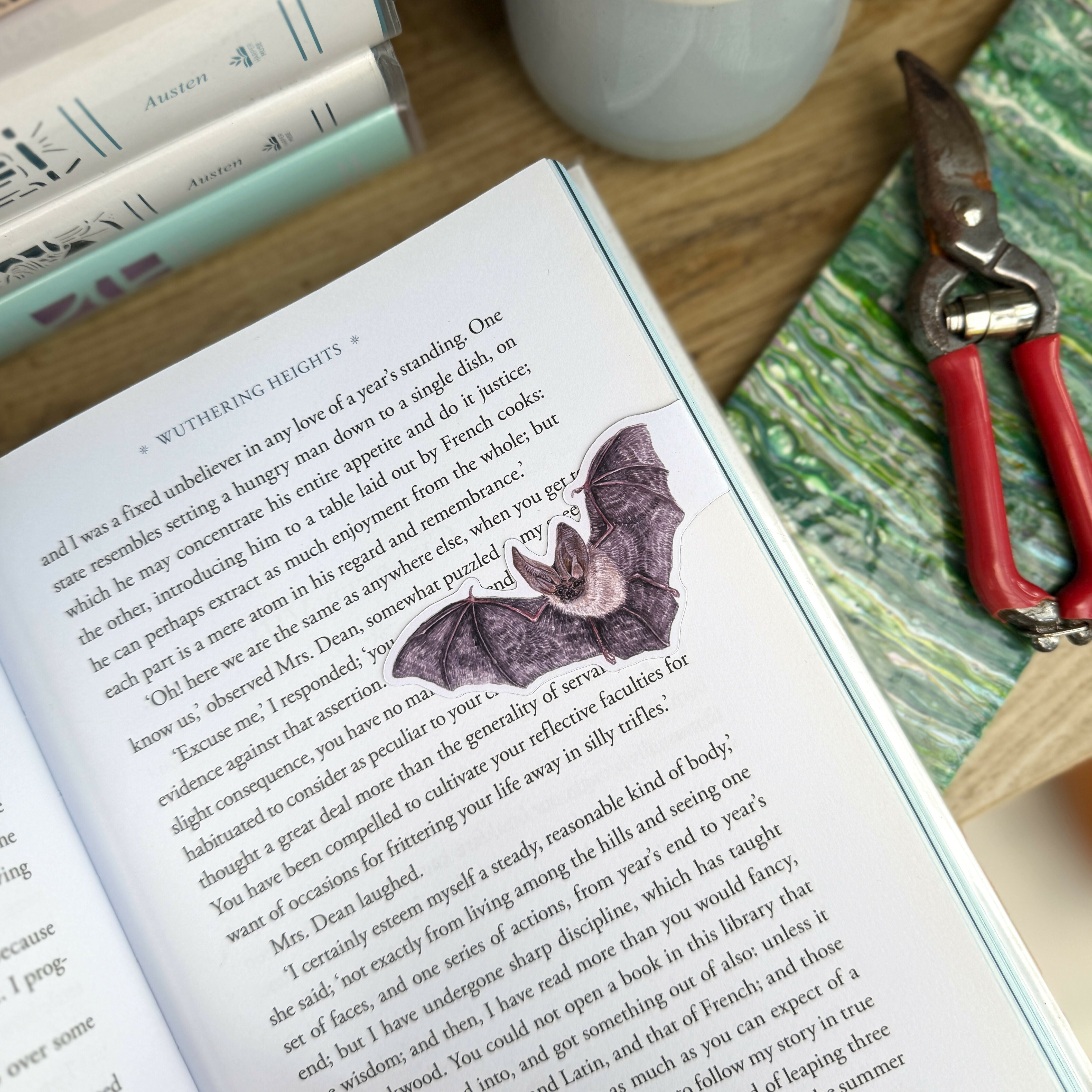 Whiskered Bat - Matt Magnetic Bookmark
