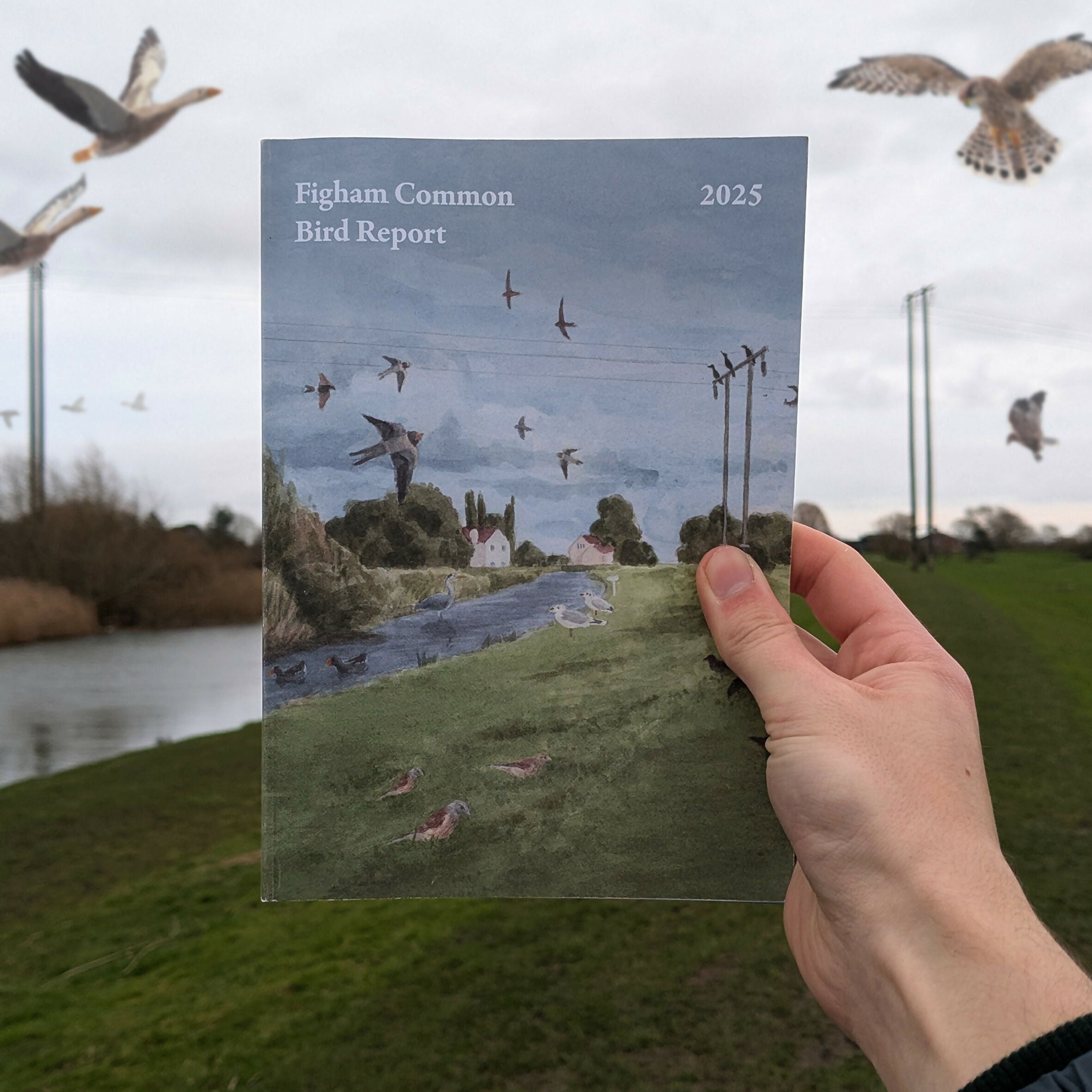 Figham Bird Report 2025 - A5 Booklet