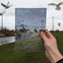Figham Bird Report 2025 - A5 Booklet