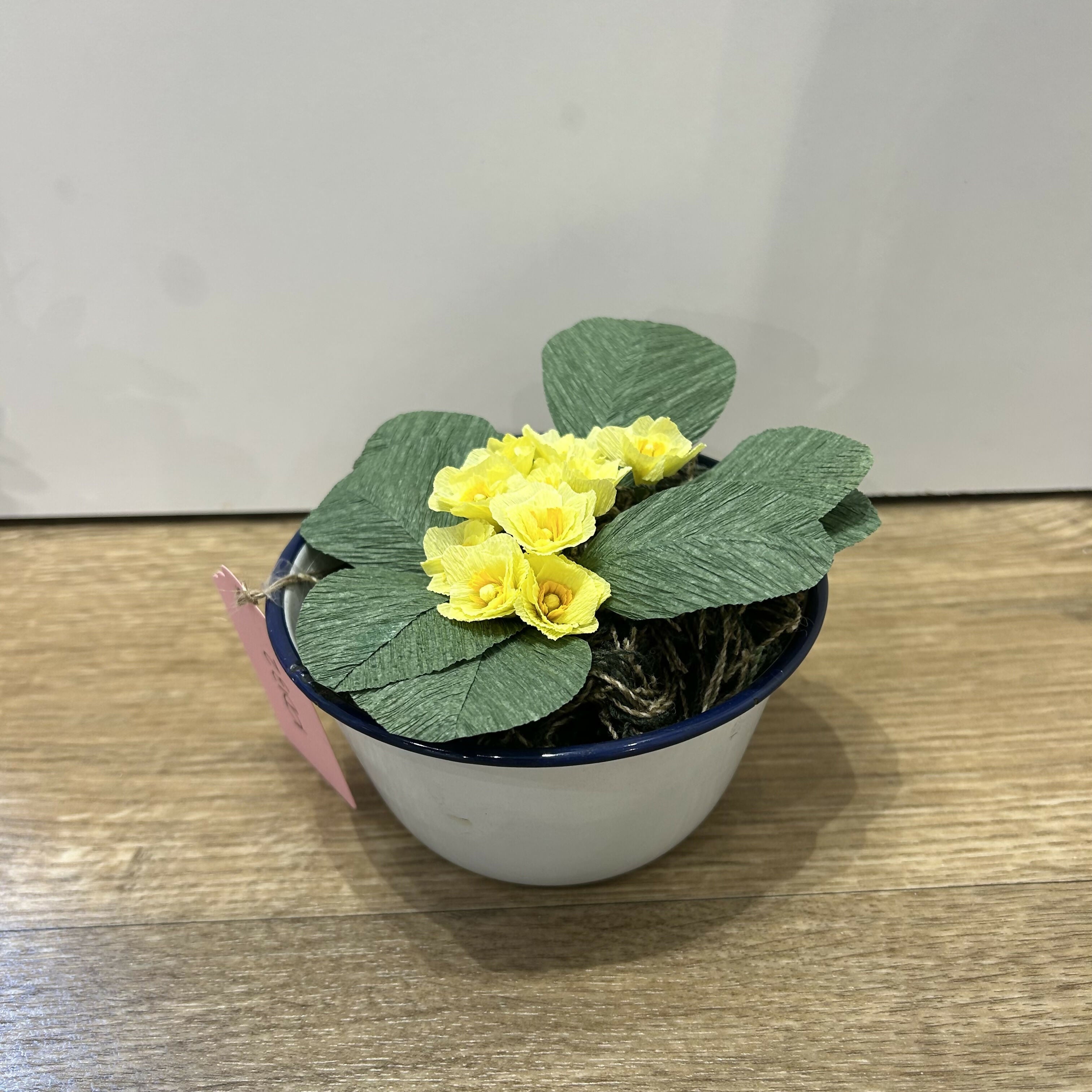 Paper Primrose in Enamel Pot