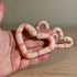 Love Heart Worm, Valentines Worms