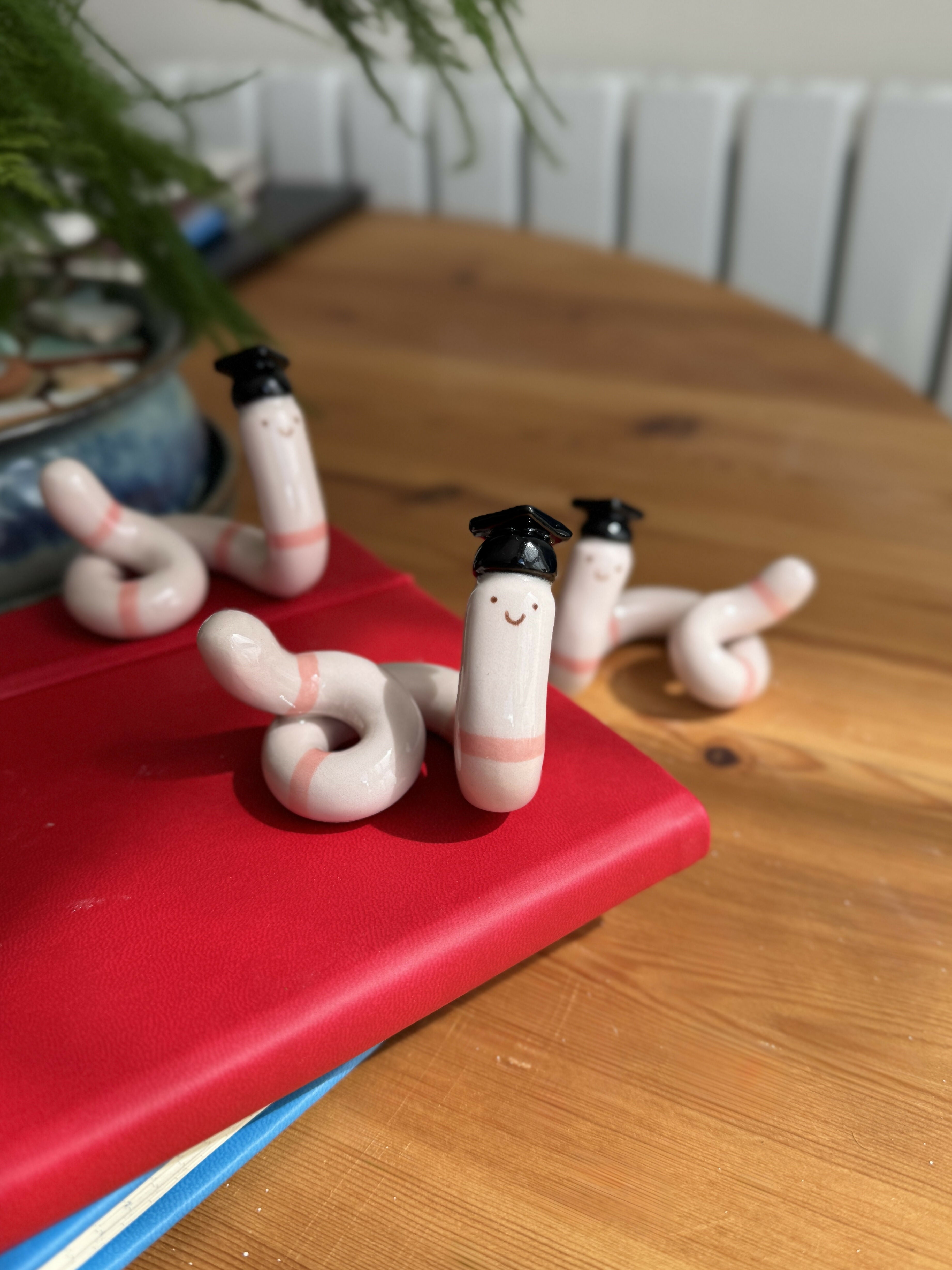 Graduation worm, Handmade Ceramic Ornament