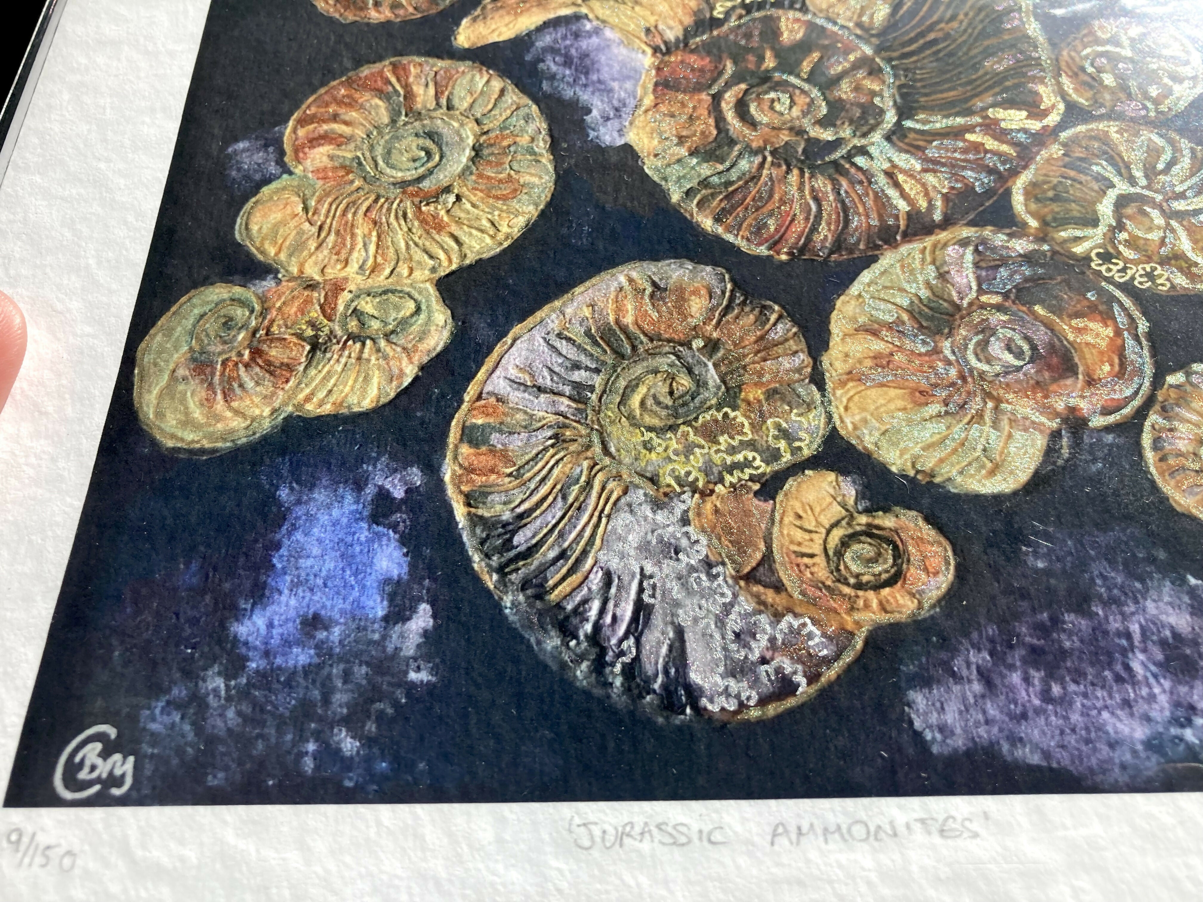 Jurassic Ammonites - Print