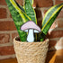 Streaky Pink Mushroom Stained Glass Plantstake