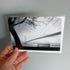 Bridge and Bench - Card