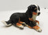 Ceramic Bernese Mountain dog sculpture