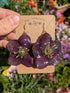 REAL HELLEBORUS FLOWER EARRINGS