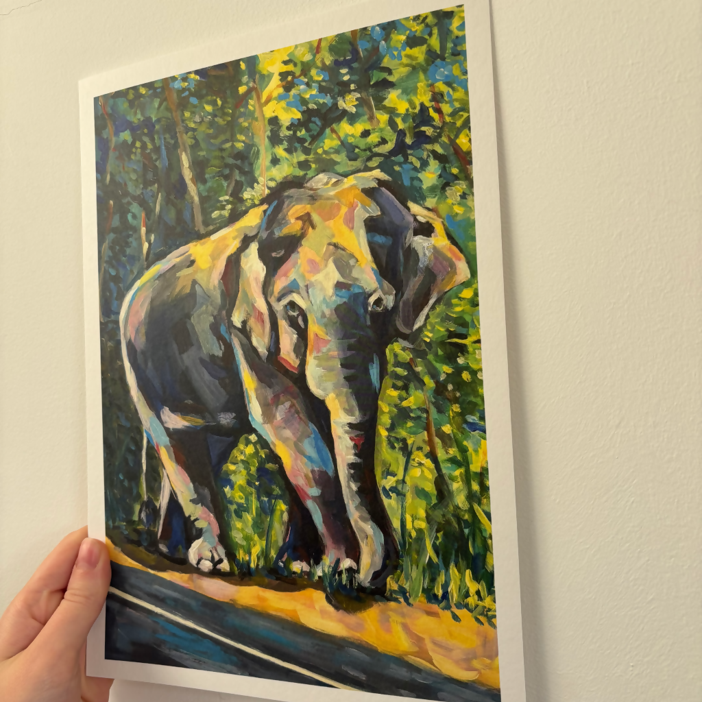 A4 Elephant Print