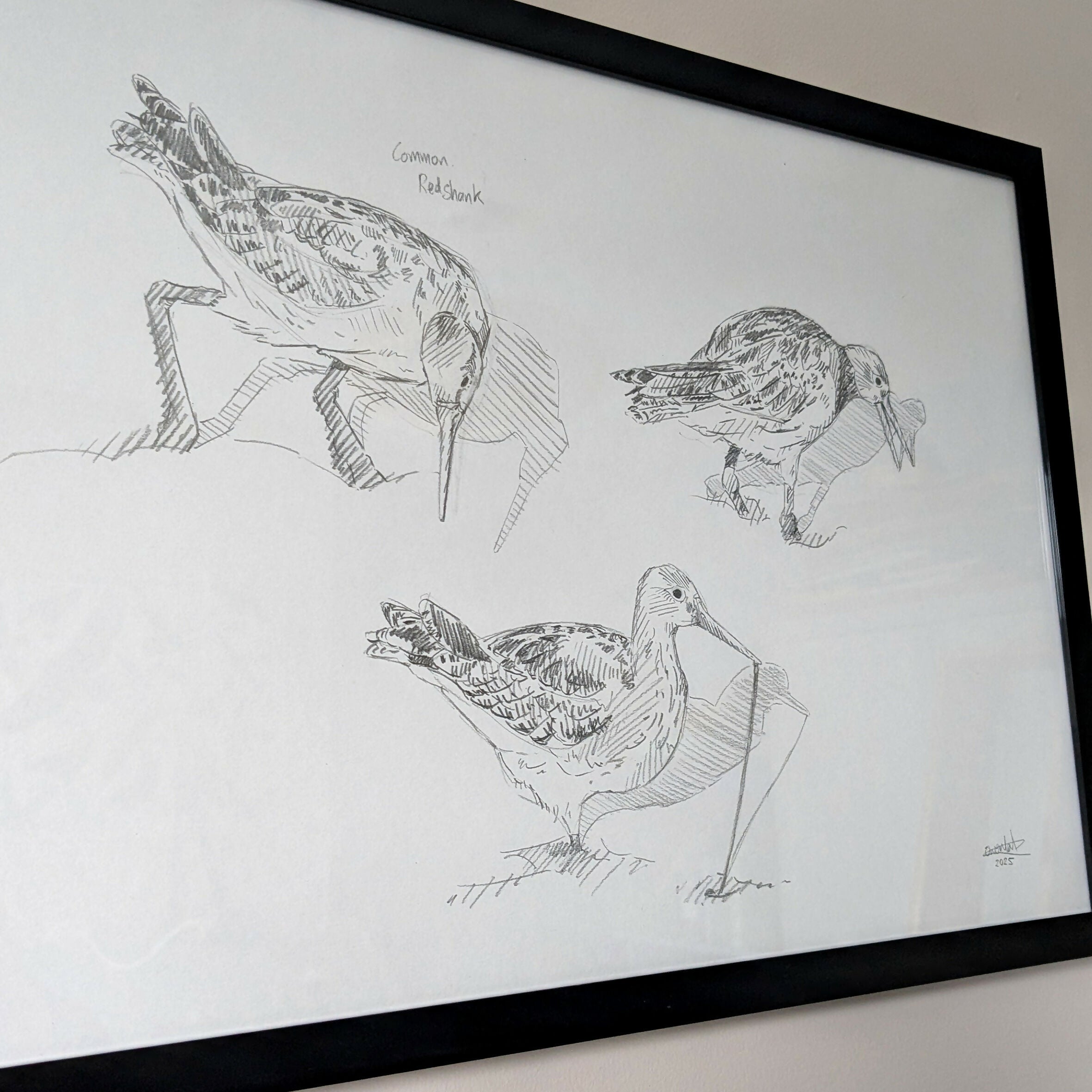 Redshank Sketches - A3 Original Framed
