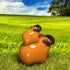 Cool Capybara Duo With Sunglasses